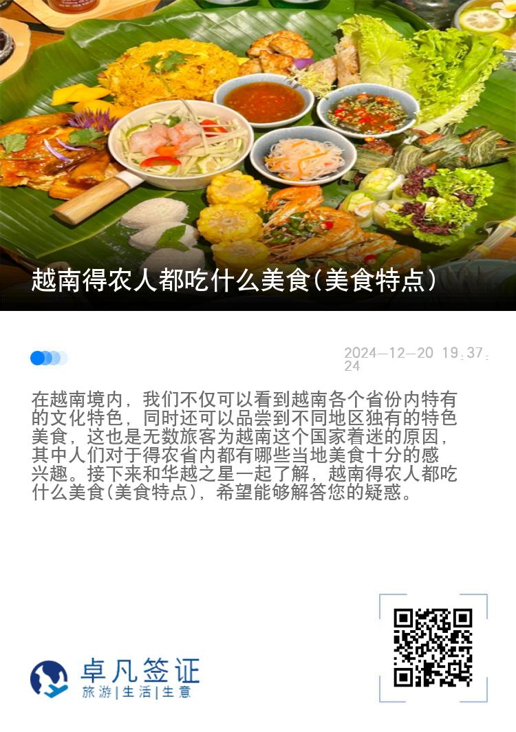 越南得农人都吃什么美食(美食特点)