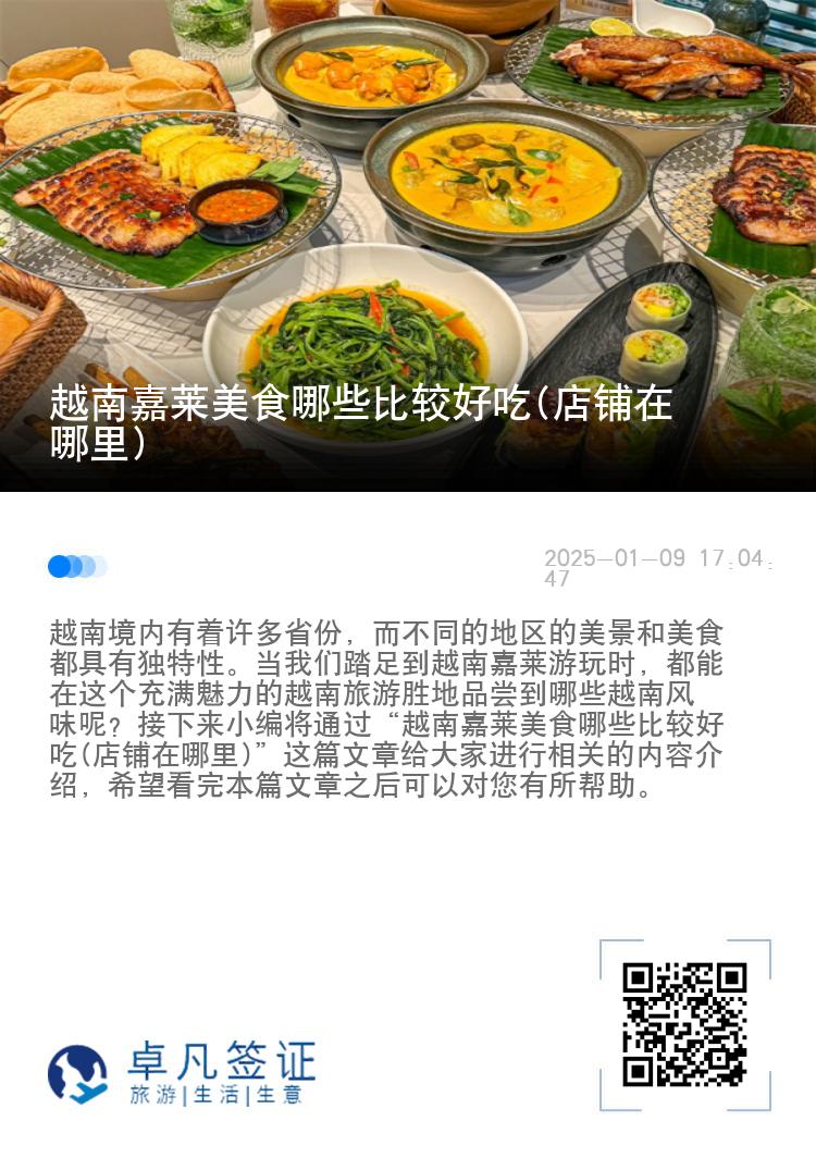 越南嘉莱美食哪些比较好吃(店铺在哪里)